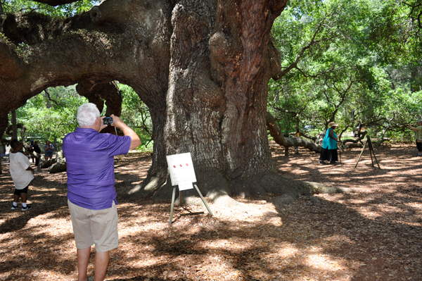 Lee Duquette photographing the Angel Oak Tree